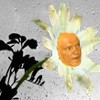 ������� ����:<br>���������� �����