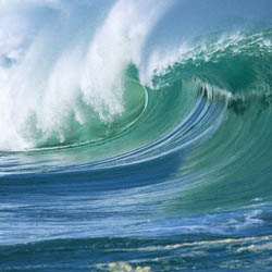 Сильные волны унесли в океан сотни американцев