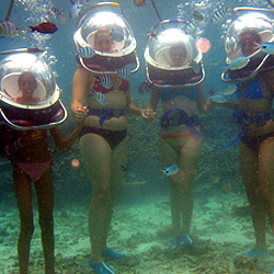 Подводное сафари начнется на Маврикии. Фото: Nilsen.ru