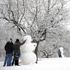 http://pics.utro.ru/utro_photos/2012/01/22/565big.jpg