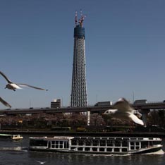 В Токио выросло 600-метровое В Токио выросло 600-метровое