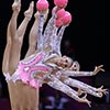 Россия заняла 4-е место и превзошла результат Пекина