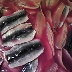 Мурманский рыбкомбинат готовит иск к правительству