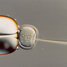 Китайцы изменили ДНК эмбриона человека