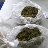 ФСКН ликвидировала "наркоспрут" по поставке спайсов в РФ