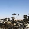 Версия с бомбой становится главной