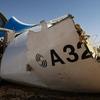 СМИ: На борту упавшего в Египте А321 была бомба