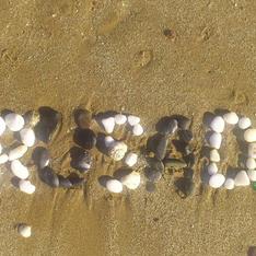  ������ ������������ 