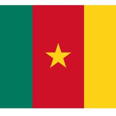 Жертвами теракта в Камеруне стали 32 человека
