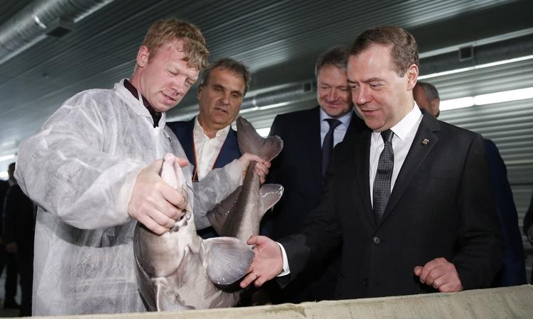  Dmitry Medvedev at the company & quot; &  quot ;. Aquaresources Photo: premier.gov.ru 