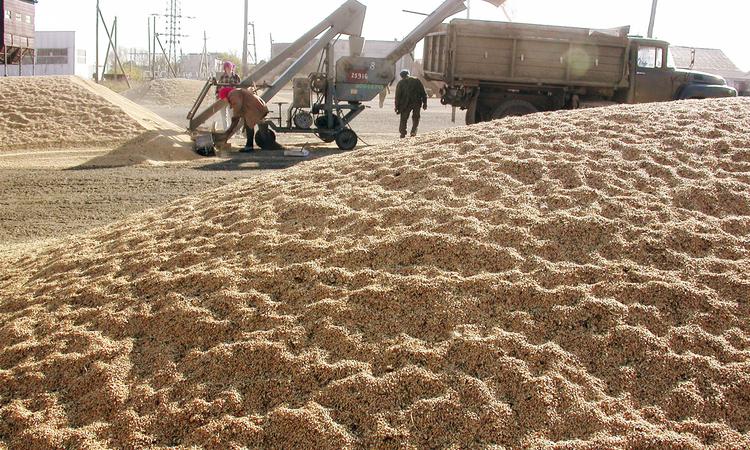 Рогозин: Российская Федерация и КНР подпишут договор на поставки пшеницы