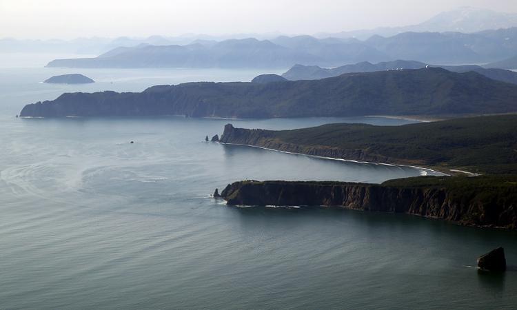 Японцы приступают к крупным инвестициям в страны Африки Японцы приступают к крупным инвестициям в страны Африки