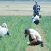 Госкомпании ждут приговоренных к труду