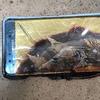 Samsung Galaxy спалил особняк чиновника РЖД