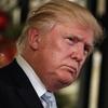 Трамп выразил солидарность с Ассанжем