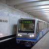 Против прыгнувшей под поезд метро с дочерью москвички завели дело