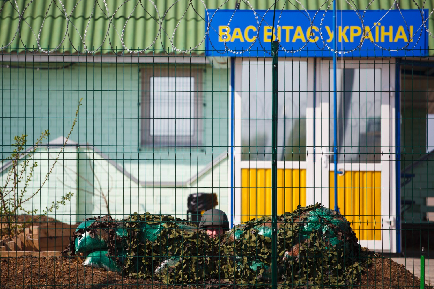 Фото: Константин Чергинский/ТАСС