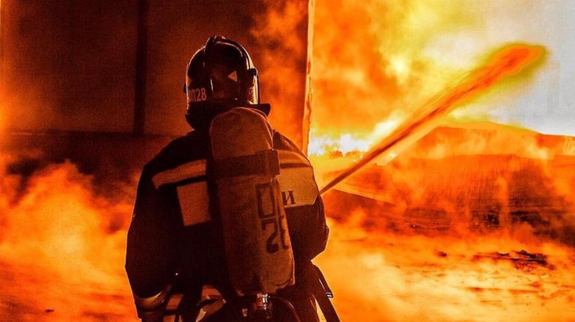  �������� ���� ��������� ����� ����������� 