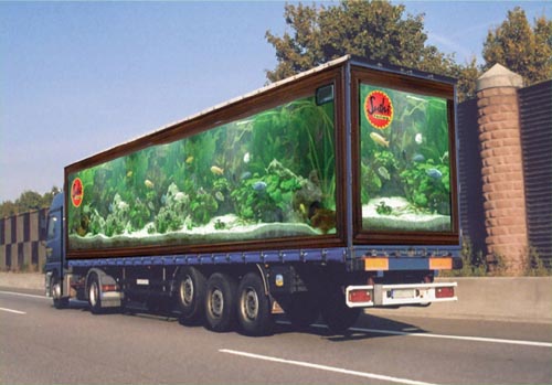 http://pics.utro.ru/utro_photos/2005/10/24/gallery_track/gallery/03.jpg
