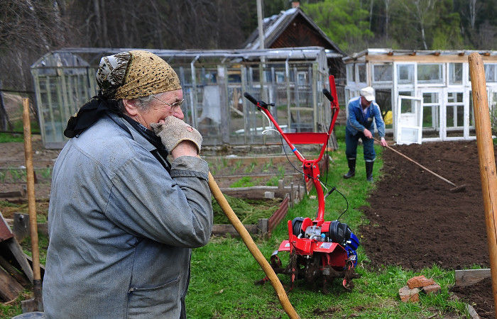 Новая жизнь участки