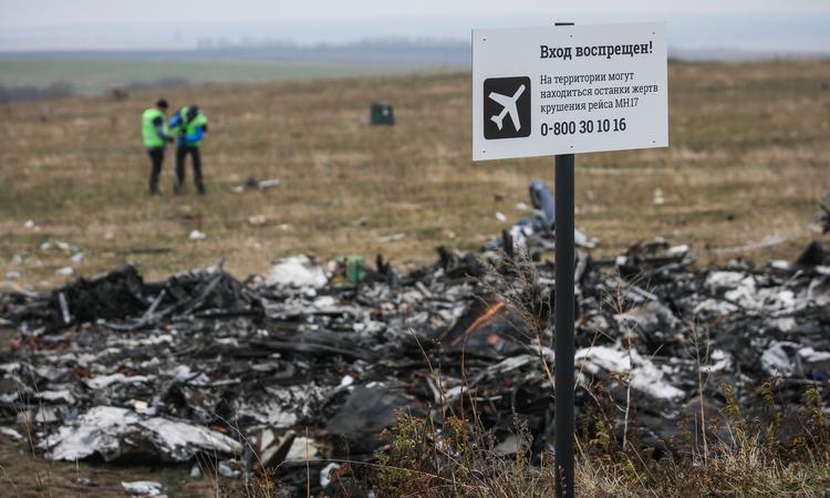 В голландском городе Хилверсуме в память о погибших высадили подсолнухи из семян, найденных на поле, где в 2014 году упал Боинг - Цензор.НЕТ 8603