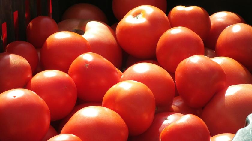 Африканские помидоры застрянут в Белоруссии