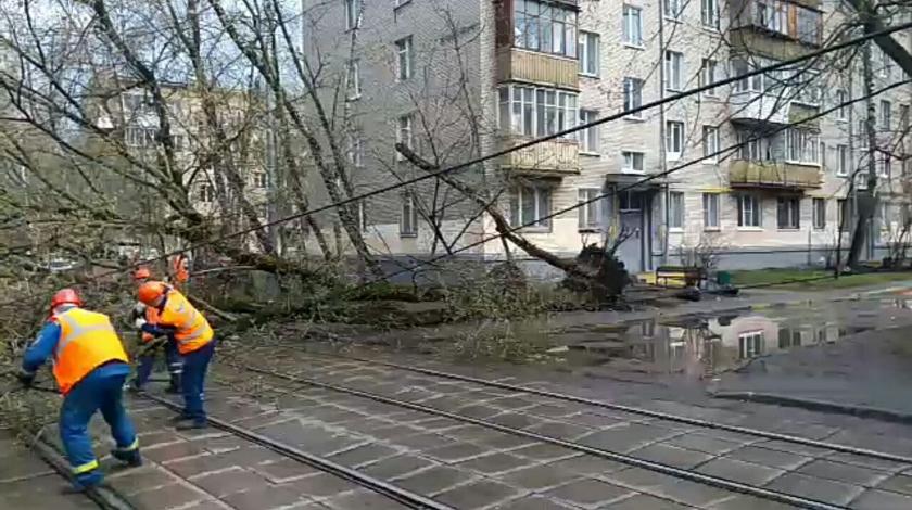 Москва подсчитала потери от урагана
