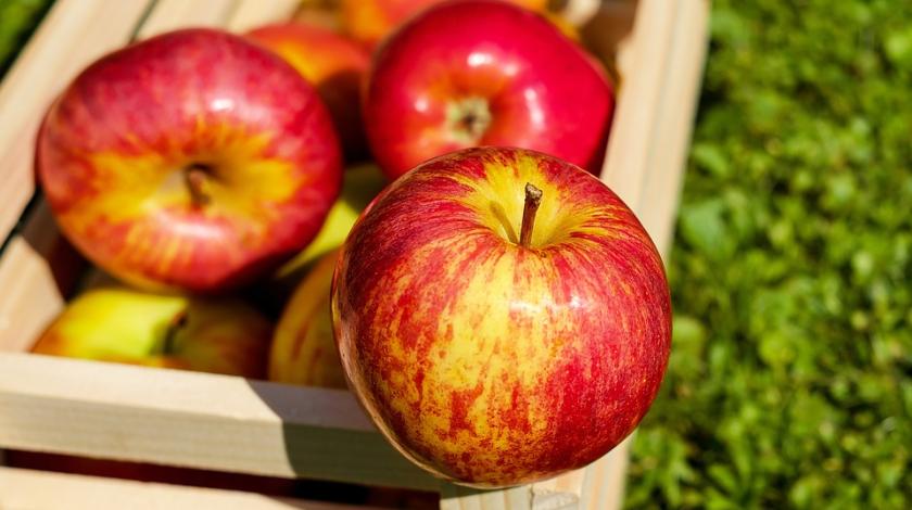 Россия запретила белорусские яблоки и груши