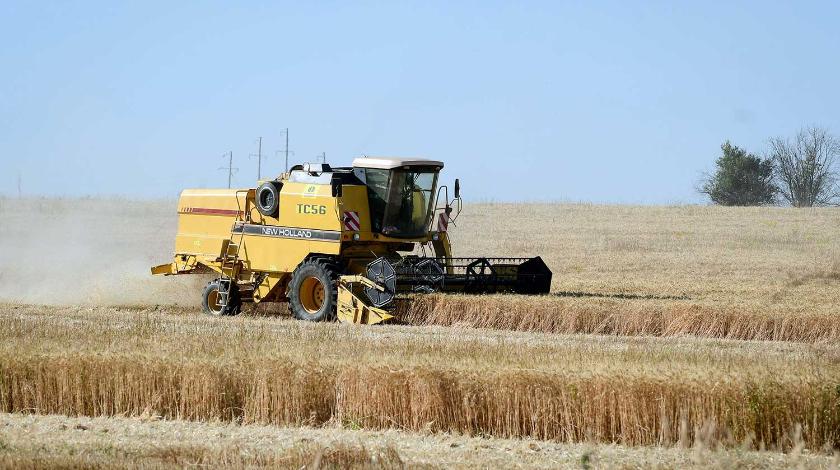 Украинские аграрии потеряют миллионы тонн урожая из-за "Укрзализныци"
