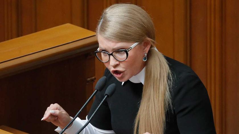 Борьба за землю: Тимошенко пошла войной на Зеленского
