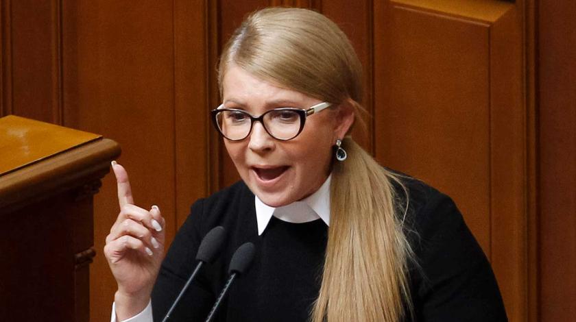 Тимошенко отобьет землю у Зеленского через суд