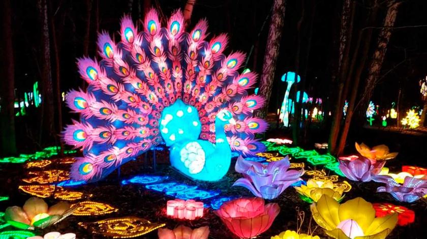В Москву привезли Фестиваль волшебных китайских фонарей