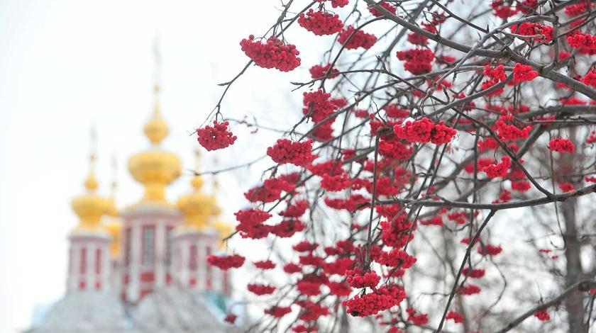 Народные приметы на 4 февраля: что нельзя делать в Тимофеев день Народные приметы на 4 февраля: что нельзя делать в Тимофеев день