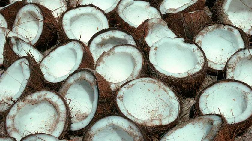 Неожиданный эффект: масло поможет похудеть Неожиданный эффект: масло поможет похудеть