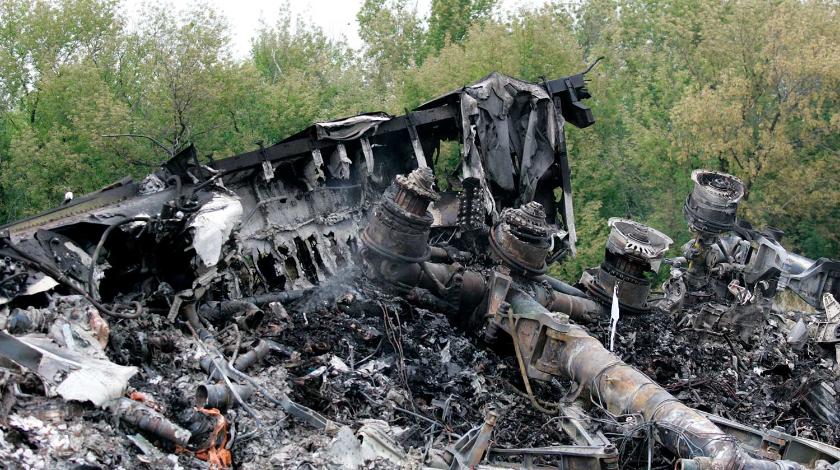 Частный следователь разрушит все дело по МН17 Частный следователь разрушит все дело по МН17