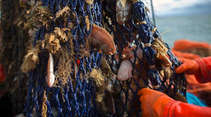 Пойманные в Азовском море украинцы признались в преступлении Пойманные в Азовском море украинцы признались в преступлении