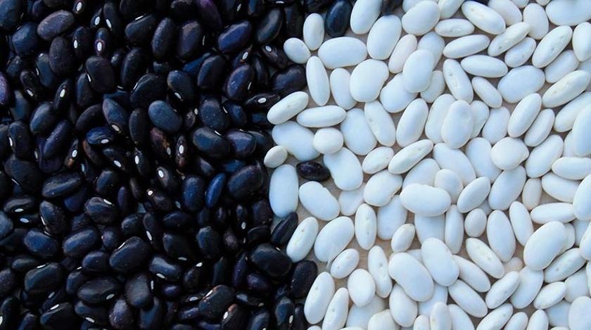 Пища долгожителей: назван главный для продления молодости продукт Пища долгожителей: назван главный для продления молодости продукт
