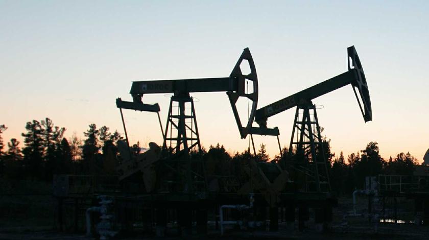 Белоруссия нашла замену российской нефти