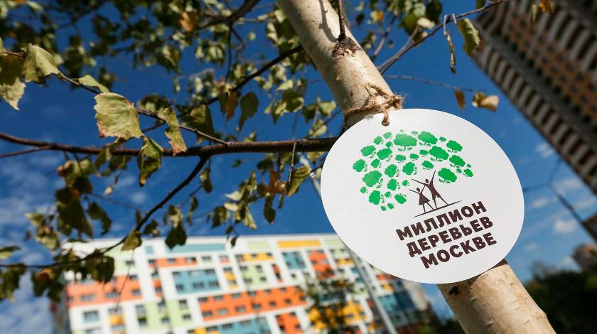 В Москве стартовал второй этап акции "Миллион деревьев"
