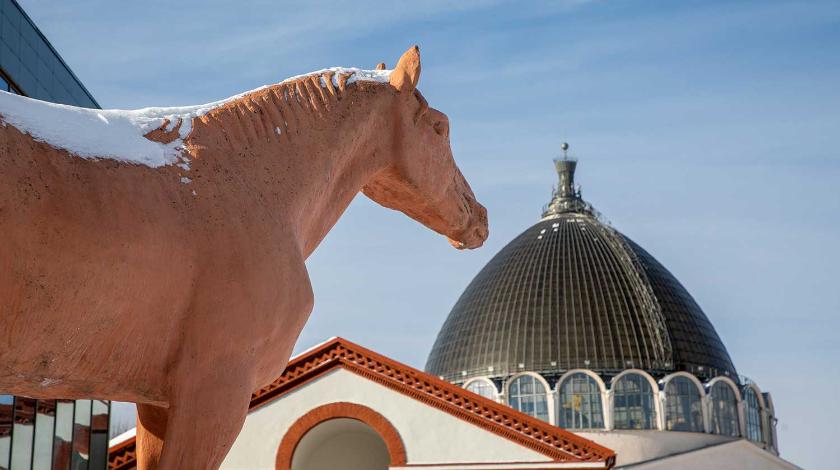 Для людей и лошадей: на ВДНХ открывается Центр национальных конных традиций
