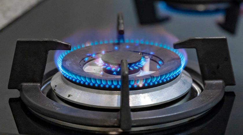 "Единая Россия" предложила бесплатно подключать дома к газу