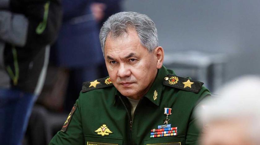 Шойгу пожаловался на провалы с российским оружием в Сирии