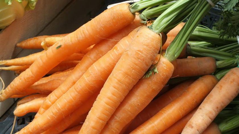 Обильный урожай гарантирован: как правильно прореживать морковь