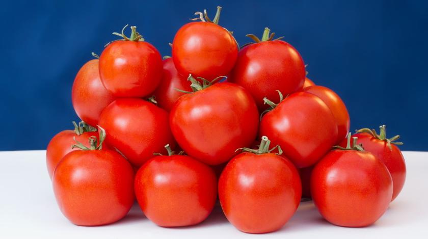 Чтобы не растрескивались: как правильно ухаживать за помидорами