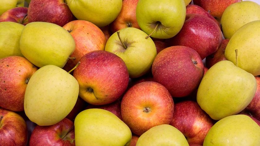 Будут свежими до следующей весны: секреты хранения яблок 