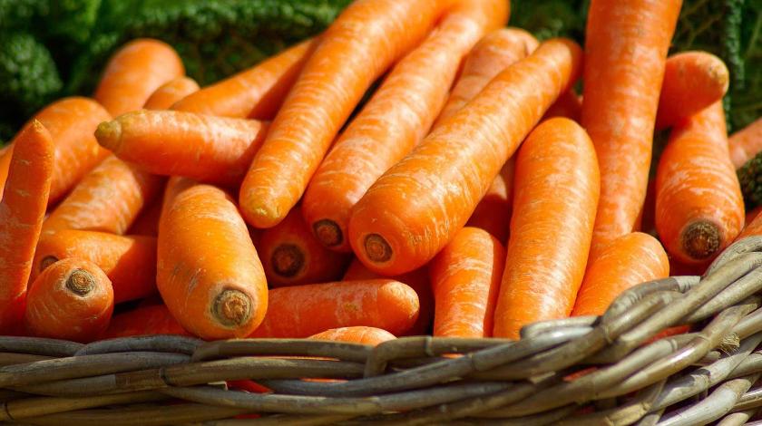 Плоды как с грядки: необычный способ хранения моркови 
