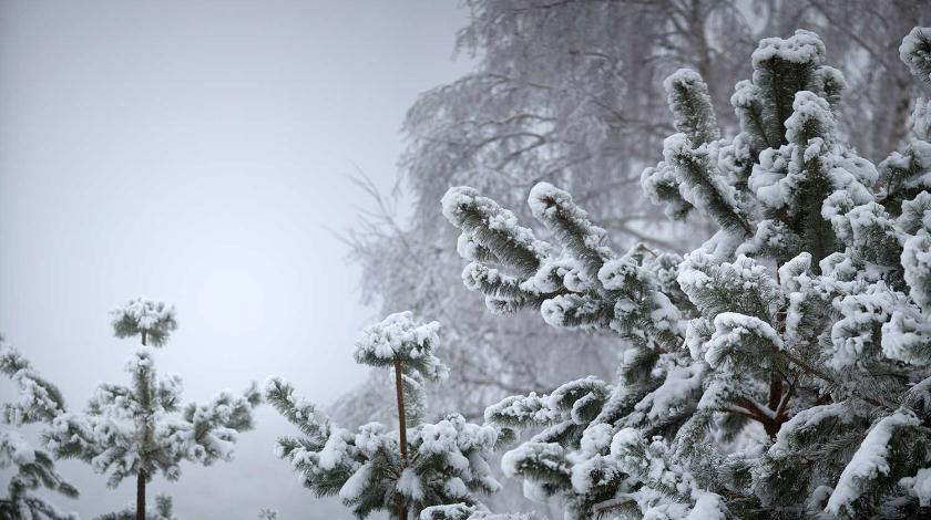 11 февраля праздник что нельзя делать