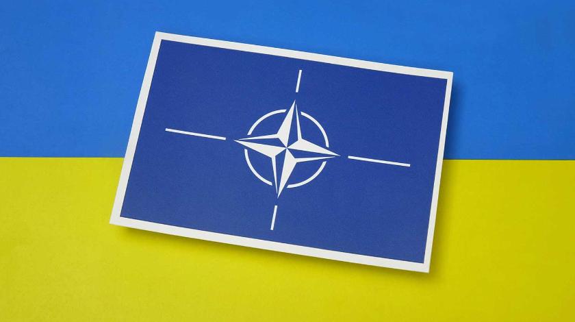 В США озвучили позицию НАТО относительно членства Украины