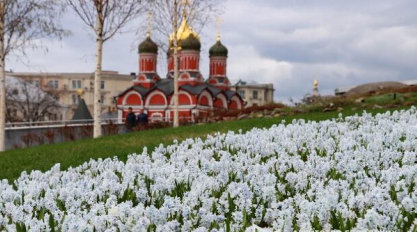 Собянин превратит Москву в этом году в цветочный рай