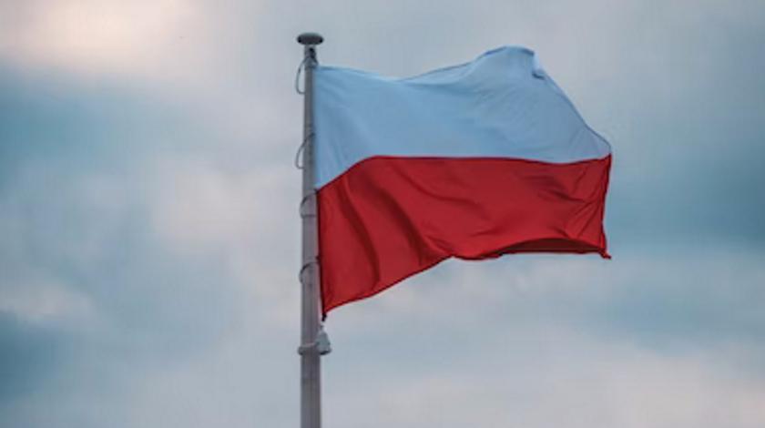 В Польше подсчитали число сторонников России в мире
